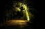 nighttime street scene featuring a single light casting a warm glow