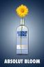 bottle of Absolut Vodka featuring a vibrant flower placed inside