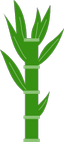 artistic representation of a sugarcane plant